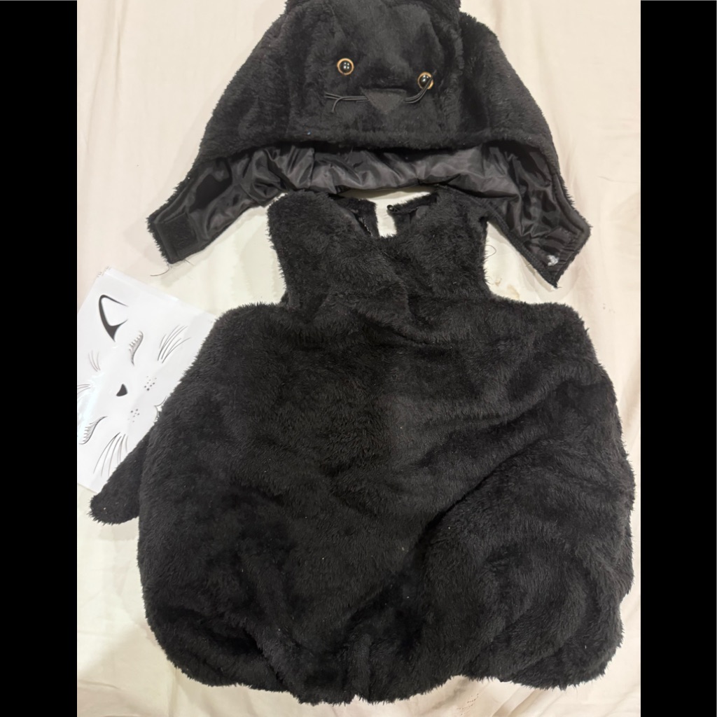 Boys Cat We Used As Binx Costume